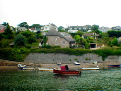 DSC00049.JPG