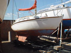 DSC00020